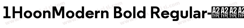 1HoonModern Bold Regular字体转换